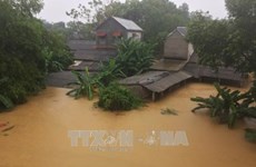 老挝国家主席本扬·沃拉吉致电慰问越南受灾群众