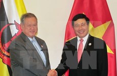 政府副总理兼外长范平明会见文莱外交与贸易部第二部长林玉成