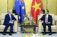 陈大光与澳大利亚总理和文莱国王举行双边会晤