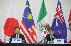 越南APEC会议：11国将TPP更名为《跨太平洋伙伴全面进展协定》