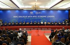 香港媒体：2017年APEC会议——越南的新发展机遇