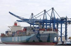 加大对交通投入力度  提高东南部地区港口运营效率