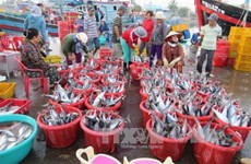 ICFO为越南中部地区渔民提供援助