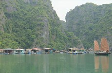 广宁省努力保护与弘扬下龙湾渔村特色的文化价值