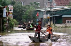 联合国向越南受灾地区提供400多万美元紧急援助