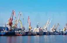海防海港在越中五省市经济走廊合作中发挥重要枢纽作用