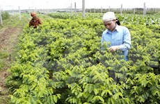 韩国投资商拟在河南省投资农产品生产和加工项目