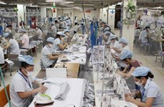 2018年越南纺织品服装出口：展望与挑战