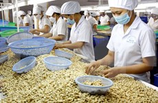 越南对美国的贸易顺差额约达270亿美元
