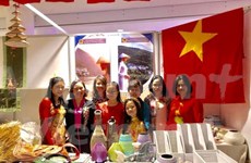 越南参加2017年第25届慈善义卖活动
