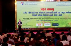 加强投资促进工作  提升九龙江三角洲食品价值链