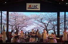 韩国文化日活动在广南省开幕