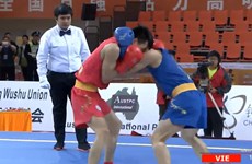 2017年第一届亚洲杯武术散打比赛：越南武术队获4金
