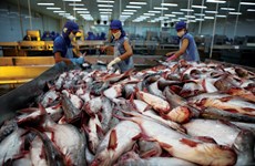 2018年越南将努力扩大查鱼出口市场