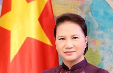 阮氏金银：越南国会一定出色地完成所交付的工作任务 不愧于党、国家和人民的信任