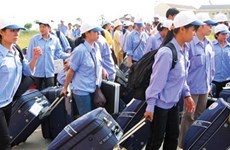 同塔省成为九龙江三角洲地区境外劳务输出工作的亮点
