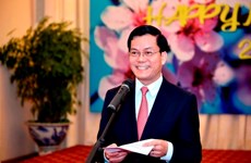越南外交部举行2018年外国驻越外交代表机构、驻越外国记者和新闻随员代表新年见面会