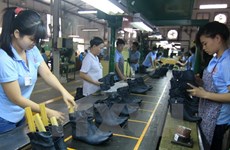 2018年越南皮革鞋类业力争出口额达到200亿美元