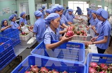 越南农业力争2018年出口额达400亿美元