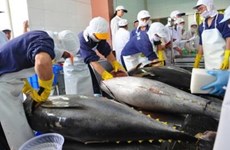 印度尼西亚加大对海事和渔业领域的投资力度