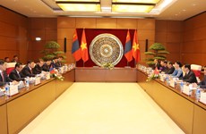 越南国会主席阮氏金银与蒙古国家大呼拉尔主席恩赫包勒德举行会谈