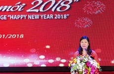 “迎2018新年”国际艺术交流活动有助于加强越南人民与世界各国人民的友谊