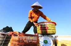 2018年1月份越南农林水产品出口总额超过30亿美元