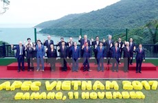 越南融入国际社会征程中的深刻烙印