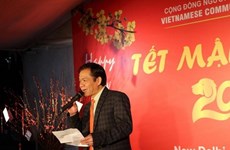 旅居海外越南人纷纷举行喜迎2018年戊戌年新春活动