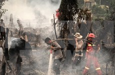 印度尼西亚因森林火灾而进入紧急状态
