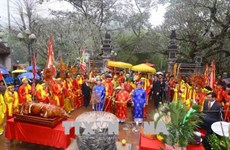 新年伊始越南各地传统春节庙会纷纷热闹登场