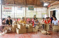 芹苴市为高棉族同胞提供职业培训 创造就业机会