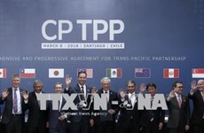 世行：CPTPP将为越南带来巨大的经济利益