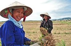 “农村妇女与可持续发展”摄影大赛正式启动
