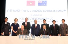 阮春福出席越南—新西兰企业论坛