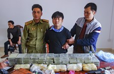 越南和老挝合作破获一起贩毒案 缴获大量毒品