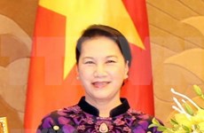 越南国会主席阮氏金银即将出席IPU-138并对荷兰进行正式访问