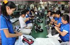 越南皮革鞋类行业需深入参与全球价值链