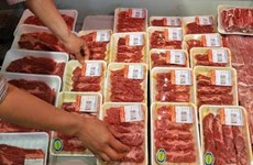 年初至今越南进口2000多吨牛肉