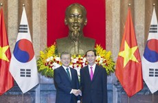 越南国家主席陈大光同韩国总统文在寅举行会谈