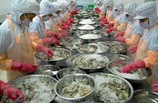 展开落实到2025年越南虾产业发展行动计划