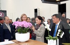 越南国会主席阮氏金银参观访问荷兰世界园艺中心