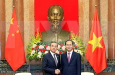 越南国家主席陈大光会见中国外交部长王毅