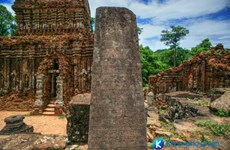 美山世界文化遗产的梵文文碑将被翻译成越南语和英语