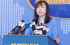 外交部发言人黎氏秋姮：保障和促进人权是越南国家的一贯政策