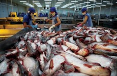 美国将对越南冷冻查鱼片征收较高的反倾销税