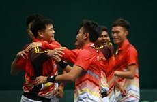 越南队获得参加2019年戴维斯杯亚大区第二层级的入场券