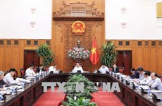 政府常务委员会就胡志明市市域铁路项目提出意见