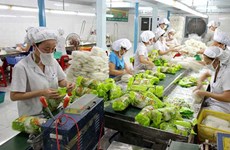 越南蔬菜水果出口保持乐观趋势 