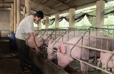 出口畜牧产品  ——协助畜牧业解决困难的重要措施 